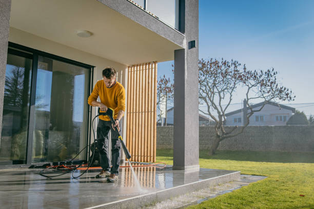 Best Driveway Pressure Washing  in Elephant Butte, NM