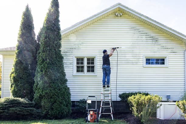 Best House Exterior Washing  in Elephant Butte, NM